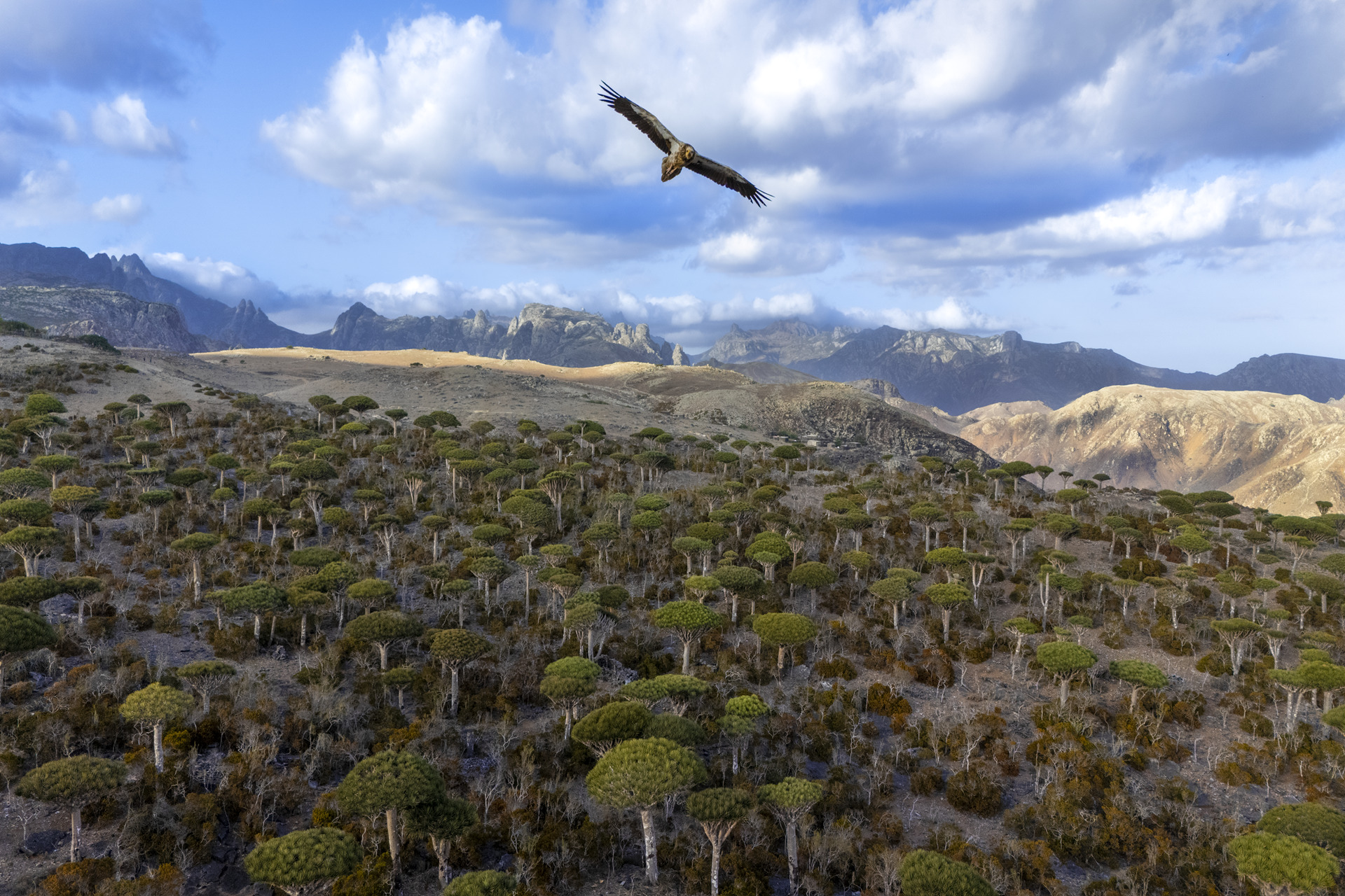 naturescape-2024